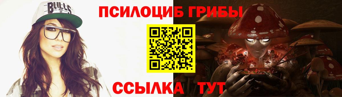 Кондопога  Псилоцибиновые грибы Cubensis  Вход с VPN 